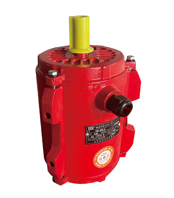 YSF 軸流風(fēng)機(jī)專(zhuān)用三相異步電動(dòng)機(jī).jpg